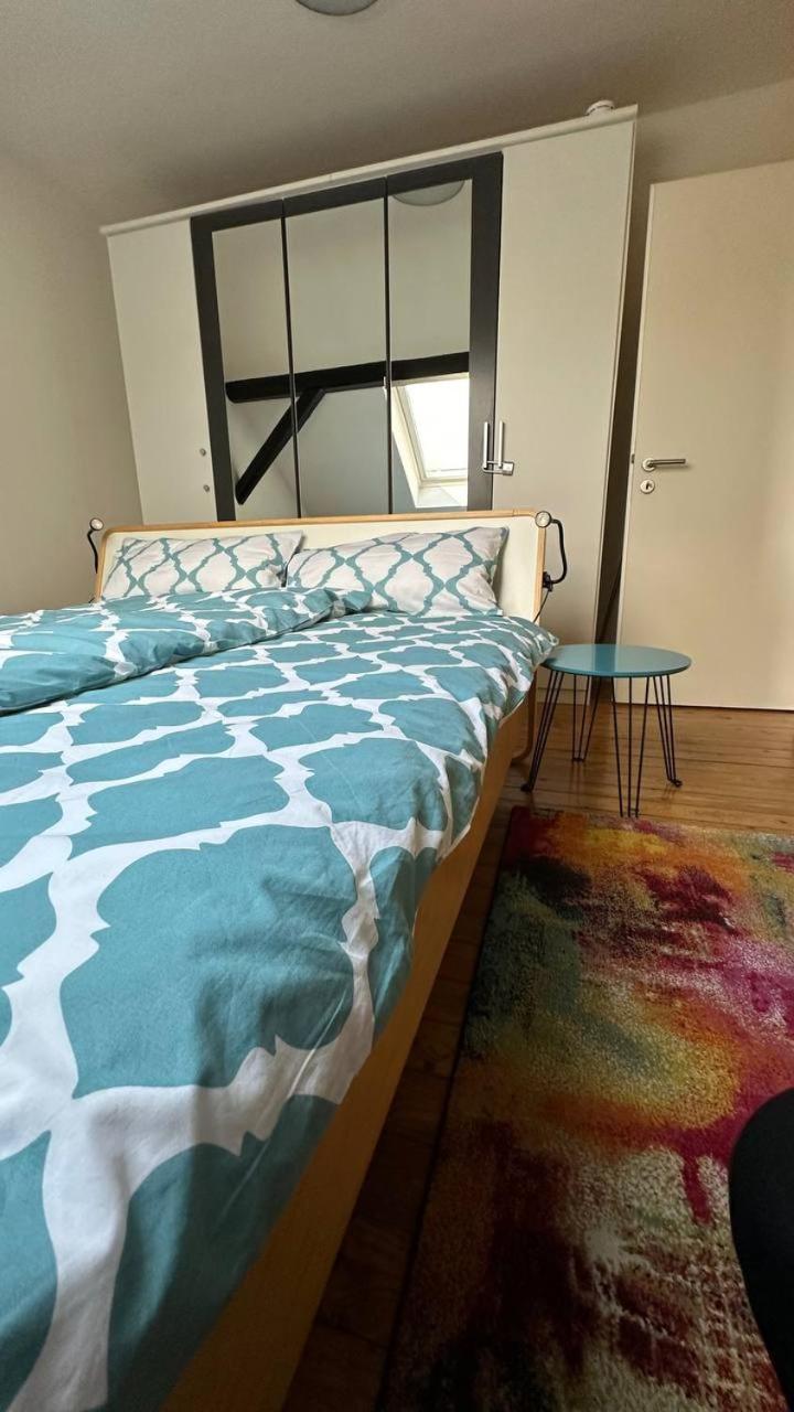 Frisch Renovierte Haldenblick Fuer 2-4 Personen, Zentral Gelegen Apartment *